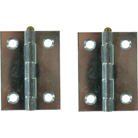 2x charnière plate acier argenté 40x35 avec axe en laiton doré porte portail volet bois meuble à visser