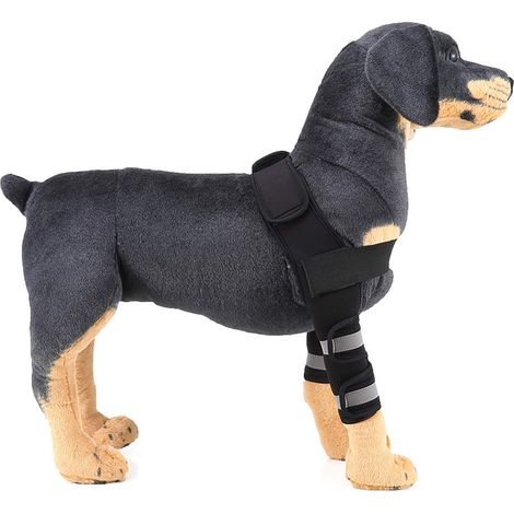 Attelle réfléchissante pour chien, attelle pour patte avant, protège-coude canin, bandage articulaire, arthrite, favorise la cicatrisation des plaies, prévient les blessures et les entorses (1/5)