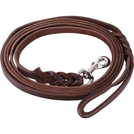 Hundetrainingsleine für Haustiere, aus langem und strapazierfähigem geflochtenem Leder, ideal für Spaziergänge. (1/5)