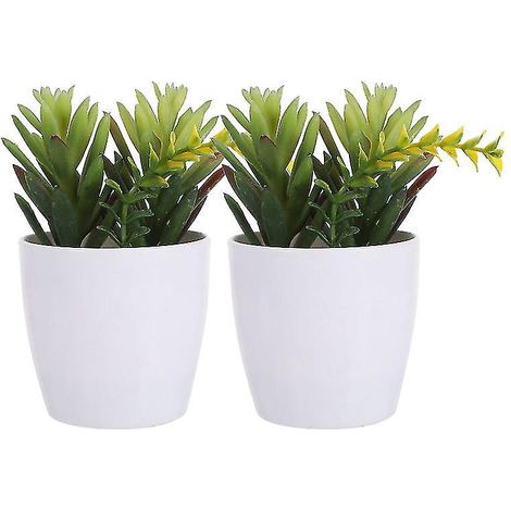 2 bonsaïs succulents en plastique (1/3)