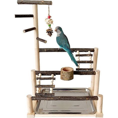 Perchoir stable pour oiseaux, support d'entraînement et balançoire pour cage de perroquet