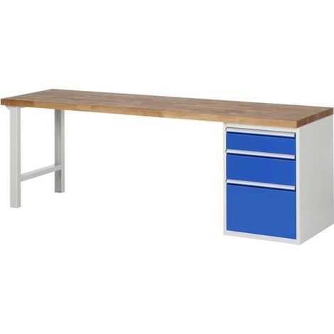 Etabli Rau modèle 7508, L 2500 x P 900 x H 840mm (1/5)