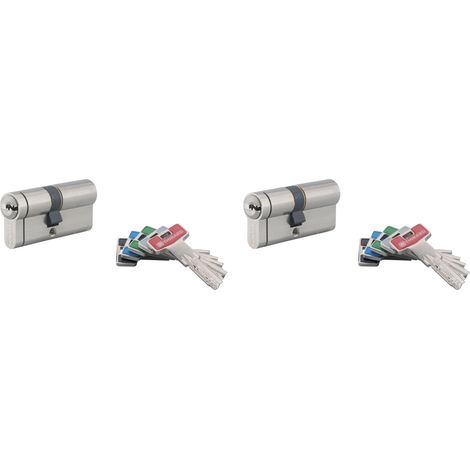 Set di 2 cilindri europei Transit 2 30 x 30 mm, nichelati, a chiave uguale, 8 chiavi – THIRARD (1/3)