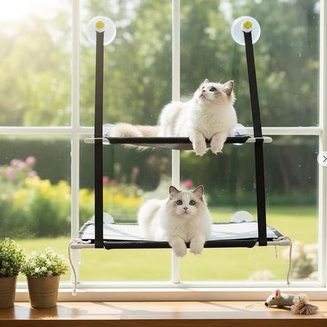 Cat Hammock Double Window, Cat Wall Shelf with Suction Cups (1/5)