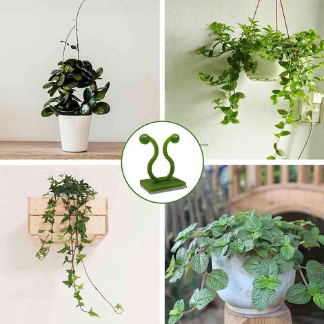 Plant Clips - Auto-Adhésif pour Plantes Grimpantes - Fixation Murale Invisible - Lot de 60 Pièces - Vert (1/5)