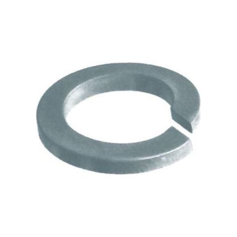 Ambrovit Rondella Spaccata Grower M10 1000 Pz.