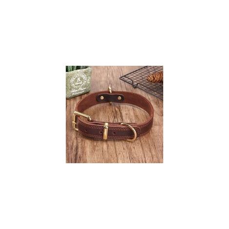 Collier pour chien en cuir véritable XXL – Rembourré en peau de mouton – Boucle en acier inoxydable – Pour Malamute, Golden Retriever, Labrador (1/5)