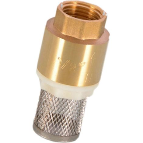 Clapet anti-retour en cuivre pour pompes, raccord femelle, filtre robuste, étanchéité optimale, anti-refoulement pour jardin et maison.-DN15 with Mesh