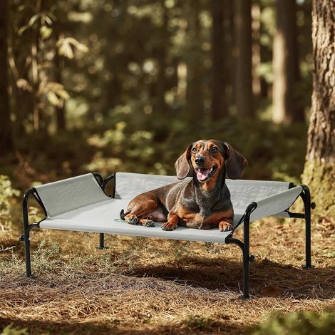 Gardner Pet Raised Dog Camp Bed, Grey, Size S (88.5 x 55.5 x 31 cm) (1/5)