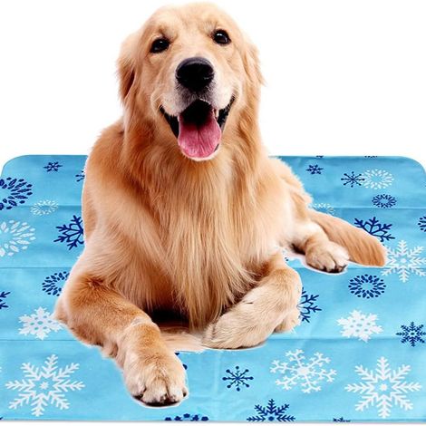 Tapis rafraîchissant pour chiens, tapis rafraîchissant pour chiens KLB (1/5)