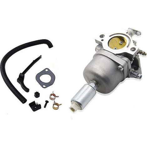 794572 Carburatore compatibile con Briggs & Stratton 791858 791888 792358 793224 (1/4)