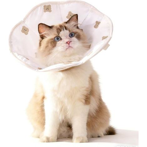 Collier Conique Doux Anti-Morsure Chat, Léger Récupération pour Petit Animal Post-Chirurgie Aucunely (1/5)