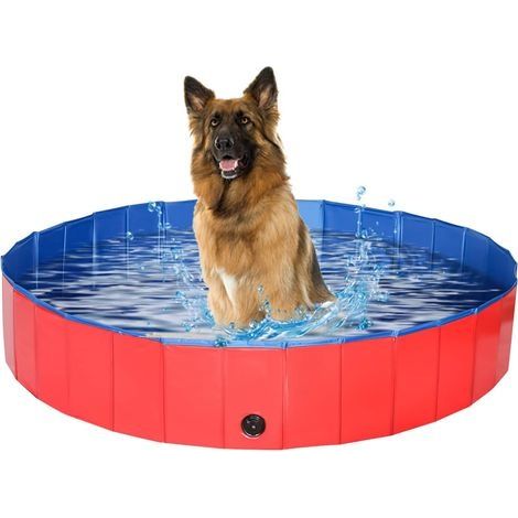 Piscine pour Chien de 80 x 20 cm, Pliable pour Animal Domestique, Grande Piscine en PVC (1/5)