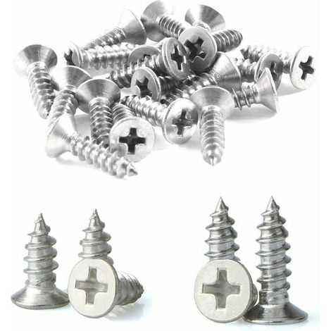 royaluxe -200 pcs M4 en acier inoxydable vis autotaraudeuses Phillips à tête plate vis bricolage vis à bois (100 PCS M4 x 10 mm, 100 PCS M4 x 12 mm) (1/5)