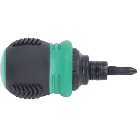 2-in-1 Mini-Magnet-Ratschenschraubendreher mit Kreuz- und Schlitzklingen, Chrom-Vanadium-Stahl, Green Tool (1/5)