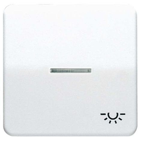 Jung Balancín 1 vía, símbolo luz, con guía de luz, duroplástico, serie CD, blanco alpino CD 590 KO5L WW