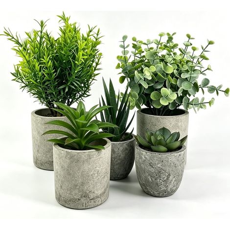 5 Pieces Plantes Artificielle, Mini Plantes artificielles Interieur Serpentine, Agave succulentes, Eucalyptus globulus, Griffe d'aigle Aloe Vera, pour Chambre Bureau Decoration (1/5)