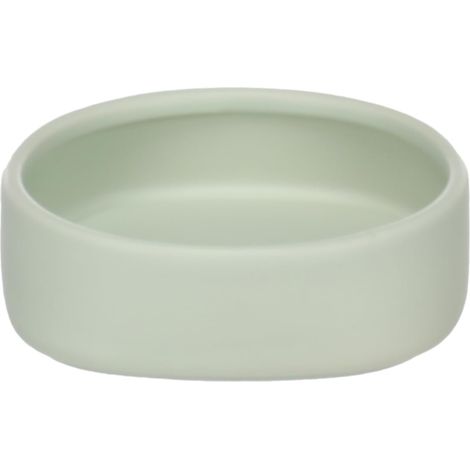 Gamelle pour la Nourriture et l'eau Vert 200ml en Céramique Émaillée pour Cochon d’Inde et Petits Rongeurs Design Élégant et Minimaliste Facile à Nettoyer et Stable