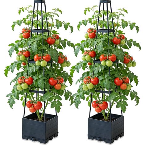 Set of 2 Raised Planter with Trellis, Automatic Watering Tomato Planter for Growing Cucumbers, Beans, Roses and Petunias (1/5)
