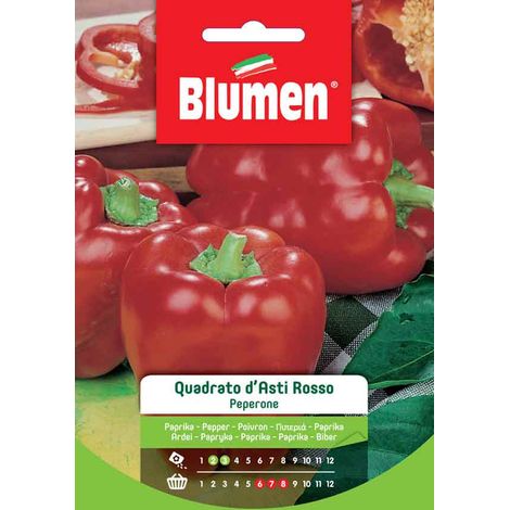 PEPERONE QUADRATO D’ASTI ROSSO BLUMEN