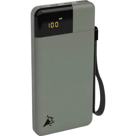 Aqiila Powerbird B10M Power bank 10000 mAh LiPo USB-A, USB-C® Verde Muschio (1/5)