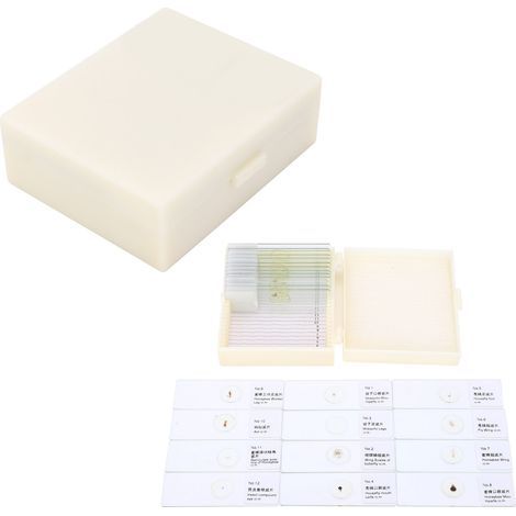 25 lames de microscope pour insectes, biologie et enseignement médical - Lot de 25 pièces PJH-25 (1/5)