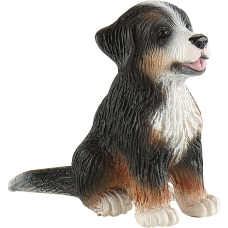 Cachorro de Boyero de Berna Joy BL65437