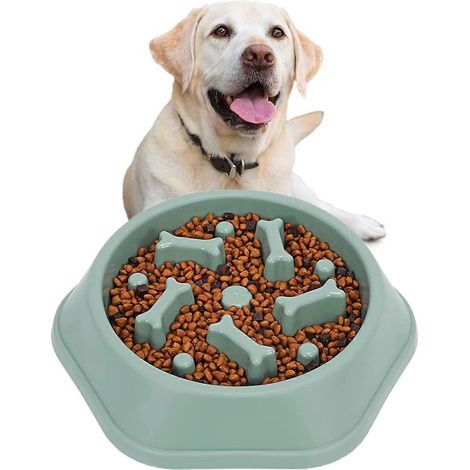 Voerbak voor langzaam eten, anti-gulzigheidsvoerbak voor hond en kat, bevordert gezond eten en een langzame spijsvertering 23,55 cm Groen (1/5)