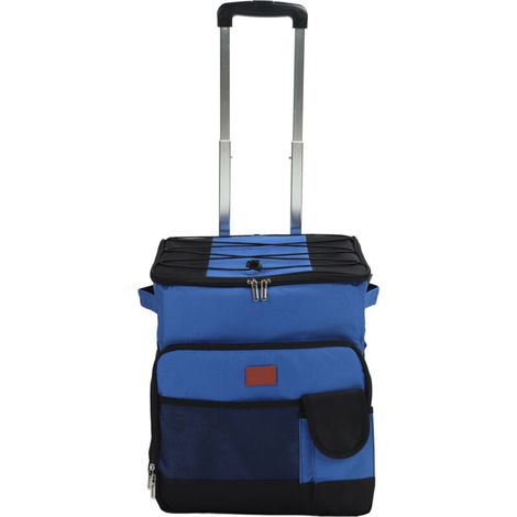 Nevera portátil con ruedas de 35 litros, de tela y papel de aluminio, impermeable, a prueba de fugas, bolsa de refrigeración portátil (1/5)