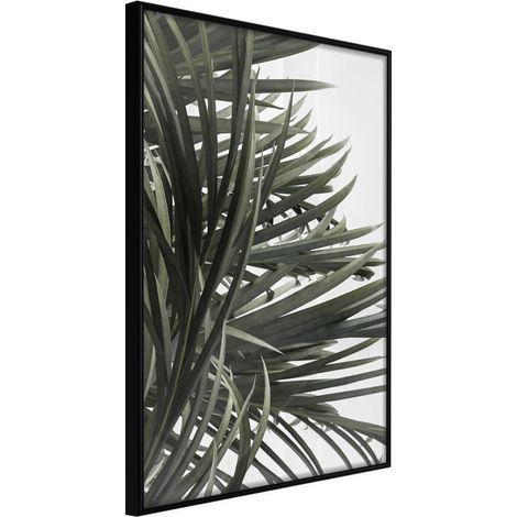 Affiche Murale Encadrée "Little Tropics" 21 x 30 cm Noir