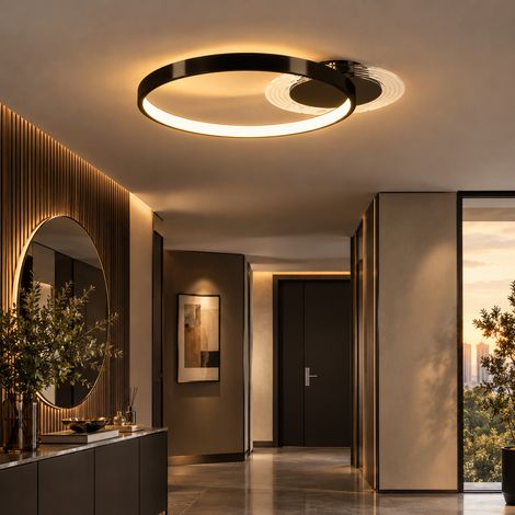 Plafonnier LED moderne à 2 anneaux avec température de couleur réglable, puissance 30W, noir (1/5)