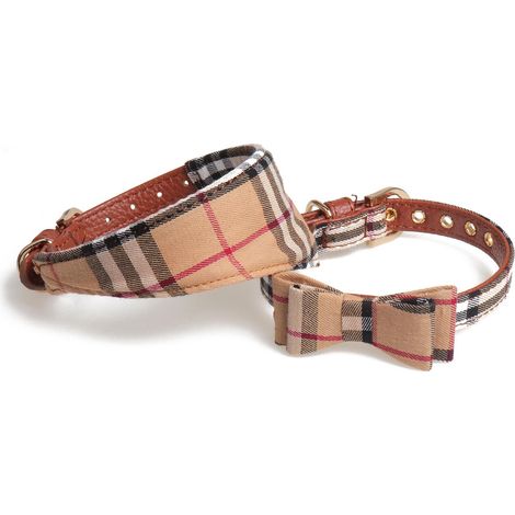 2 Picesbrun Ensemble Collier Et Laisse Pour Chien, Rglables Nud Papillon Bandana Pour Les Promenades En Plein Air Pour Chats Et Chiots (1/3)