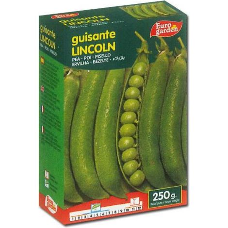 semillas fito leguminosas guisante lincoln gancho 250 grs 04512