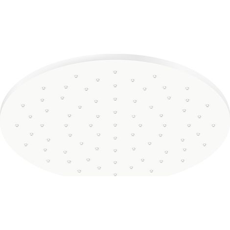 Steinberg Serie 100 Kopfbrause, Regenbrause, rund, 250x8 mm, (1/5)