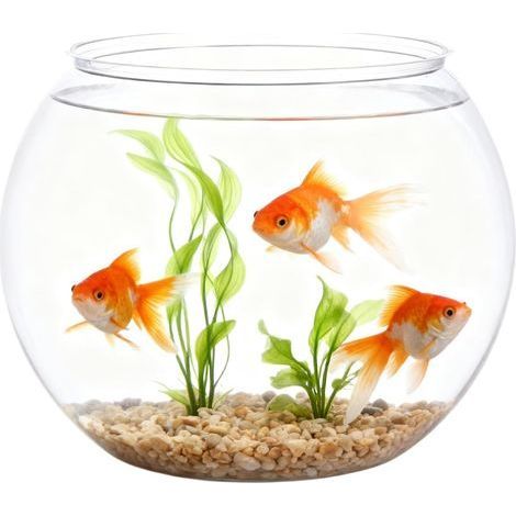 1 Bol Aquarium, Matériau ABS, Bords Lisses, Design Transparent, Pour Bureau Et Maison (1/5)