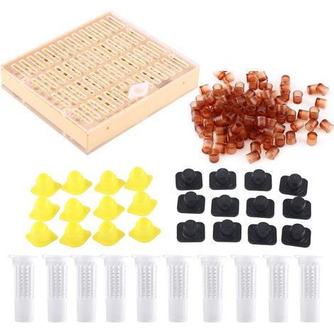 Königinnenzuchtkasten mit Zellen und Rollenkäfigen für Imker (1/5)