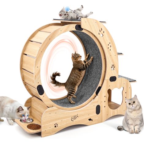Rueda para gatos 6 en 1 de madera natural OKWISH (1/5)