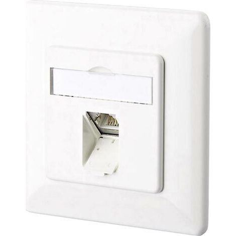 Prise réseau encastré insert avec plaque centrale et châssis CAT 6 1 port Metz Connect 1307371002-I blanc pur R07813 (1/5)