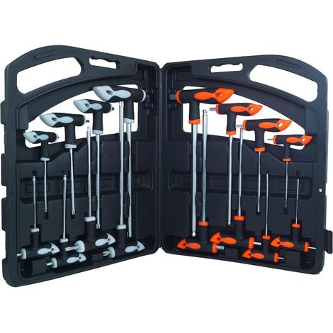 CHIAVI ESAGONALI + TORX - A T LUNGHE - 16PZ - CON IMPUGNATURA + VALIGETTA