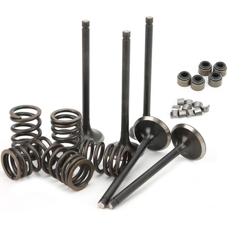 Kit de remplacement de soupapes d'admission et d'échappement pour culasse YAMAHA GRIZZLY 660 YFM660F 4WD 2002‑2008 (1/5)