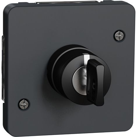 interrupteur à clé - 3 positions - gris - composable - mureva styl - schneider electric mur35061 (1/3)
