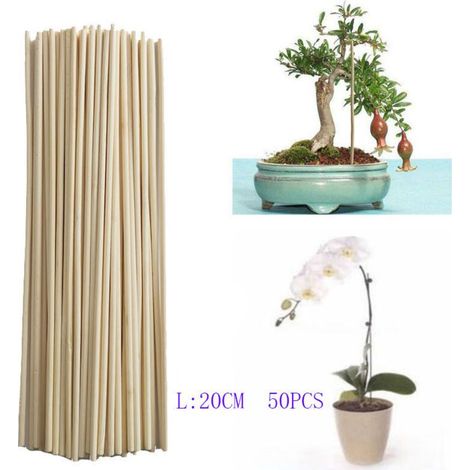 Barre de bambou barre de support de croissance des plantes petit bonsa branche de vigne DIY outil de jardinage 3mm 20cm 50pcs (1/4)
