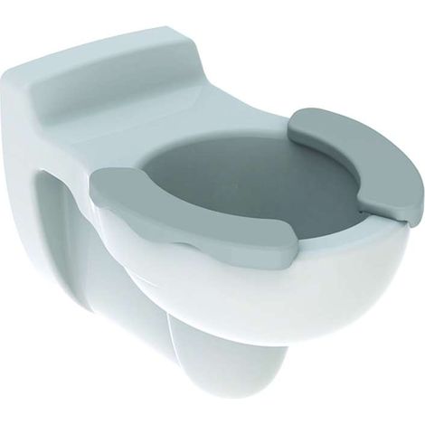Geberit Bambini - WC enfant suspendu 330x535 mm, blanc/gris 201715000 (1/2)