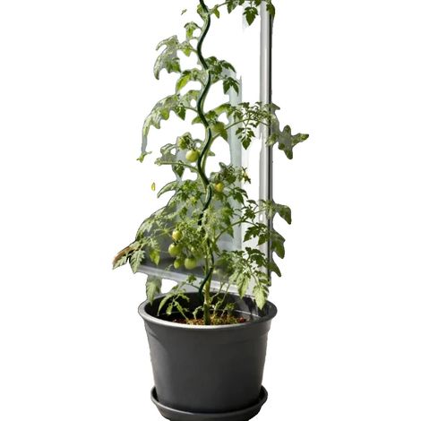Soportes para plantas, metal resistente, diseño en espiral, verde (1/5)