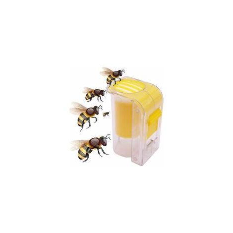 Outil de marquage pour reine abeille, bouteille cage plongeuse, apiculture, jaune –