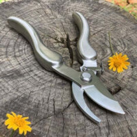 Professionelle Gartenschere aus Edelstahl, 210 mm (1/3)