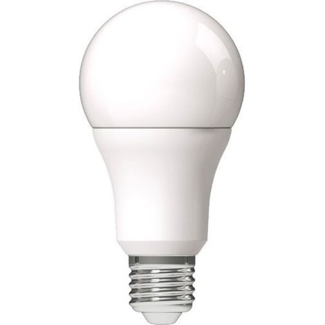 Ampoule LED E27 – 12/24V AC/DC basse tension – 8,5W – 2700K – 1055 lm