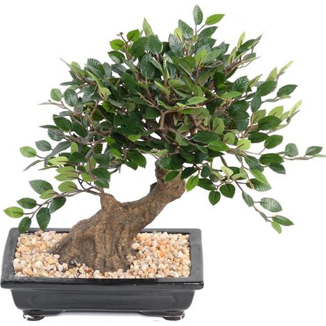 Bonsaï Orme de Chine Artificiel H 30 cm D 28 cm en pot - dimhaut: H 30 cm - couleur: Vert