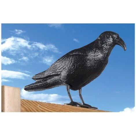 Épouvantail corbeau 36x13x18 cm – Polypropylène résistant – Repousse pigeons et étourneaux – Protection jardin et potager (1/5)