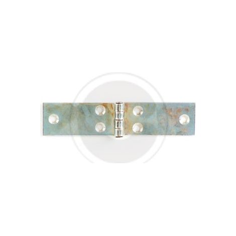 cerniera lunga in acciaio zincato con perno fisso 20x60 mm ase a libretto (1/2)